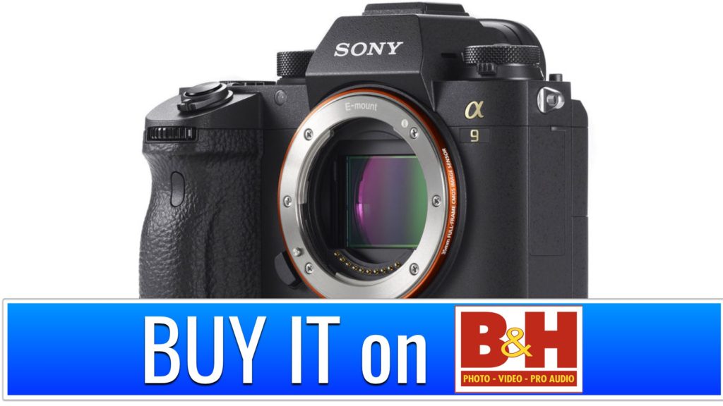 Sony Alpha a9 Mirrorless Digital Camera