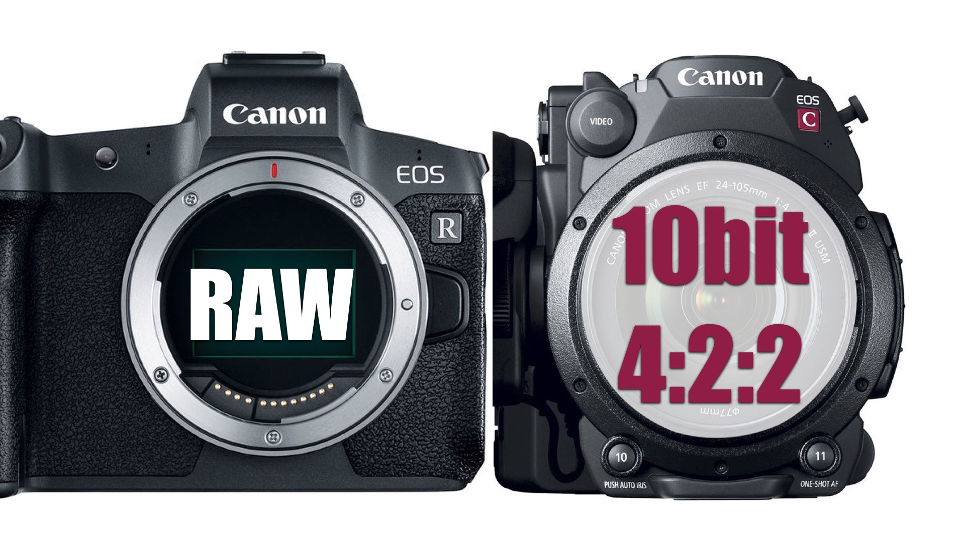 Canon NAB 2019 predictions