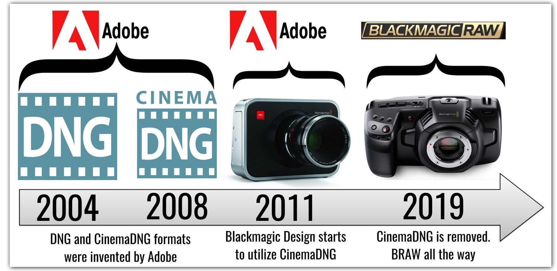 From DNG to BRAW. Year Chart