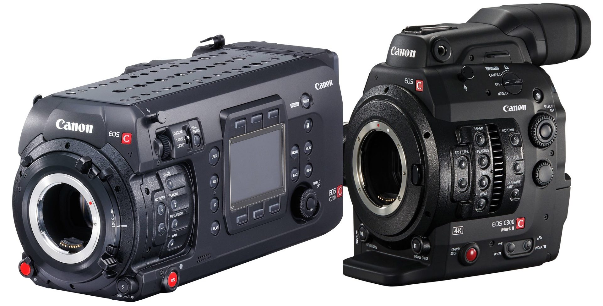 Canon's flagship C700 and the C300