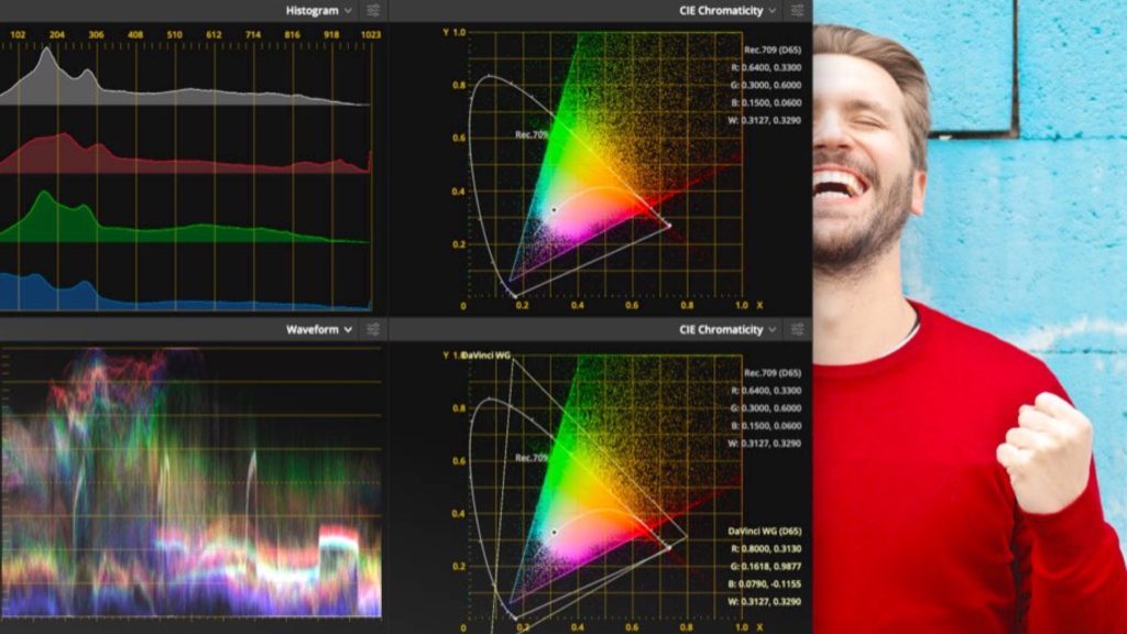 Resolve 17 3D Professional Scopes. Picture: Blackmagic Design