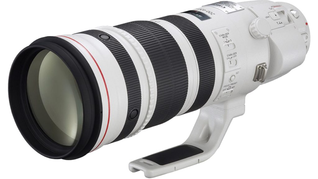 Canon EF200-400mm f/4L IS USM Extender 1.4x