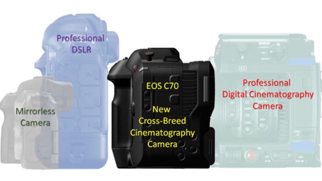 C70 is a combination between Cinema EOS (“Professional Digital Cinematography Camera”), “Professional DSLR (1D X Mark III), and mirrorless.
