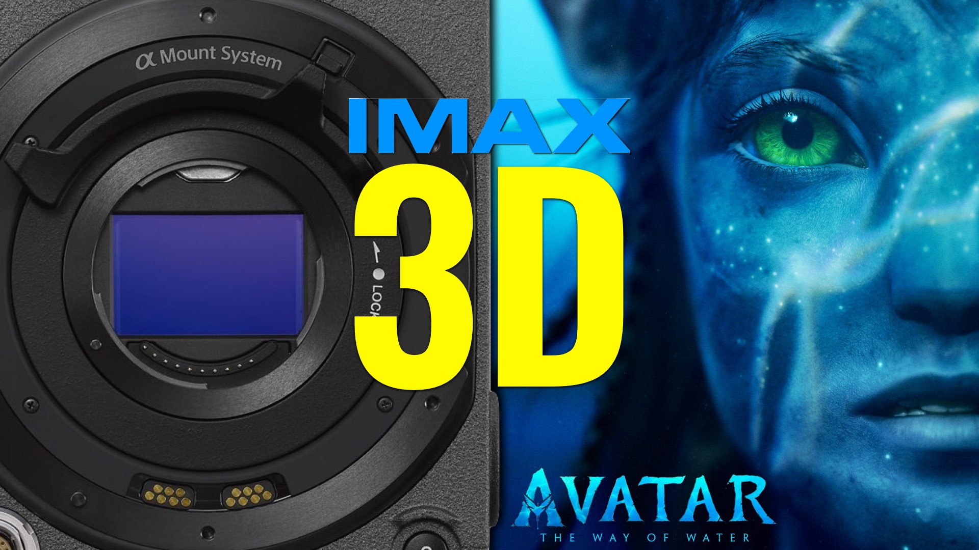 Cameron: For Most Immersive Avatar Experience, Go Imax