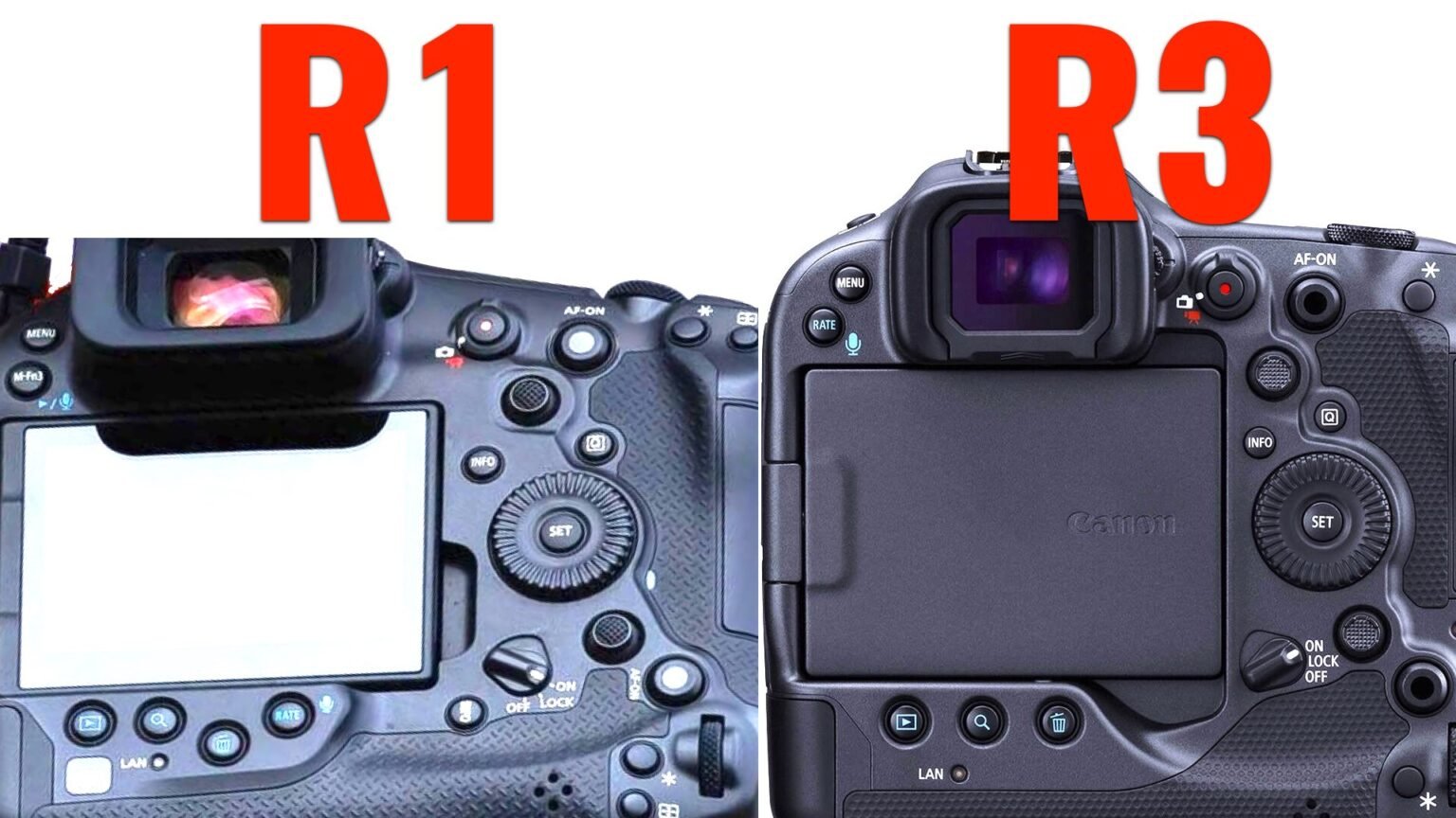 Leaked Image Shows: Canon R1 is Almost Identical to the R3 - Y.M.Cinema ...