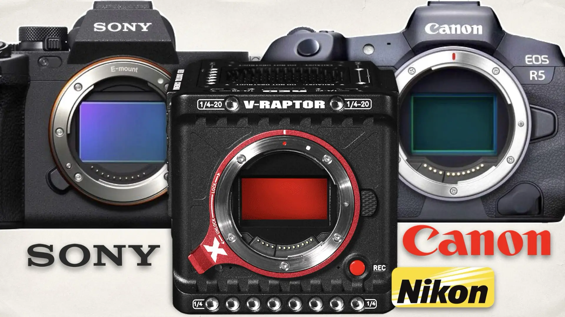 Top-Selling Mirrorless Cameras of 2024: Sony, Canon, and Nikon Face Off