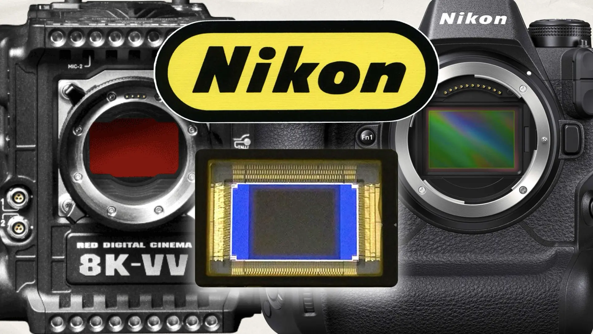 Nikon’s Sensor Breakthrough: A Bold Move Toward Independence and Cinema