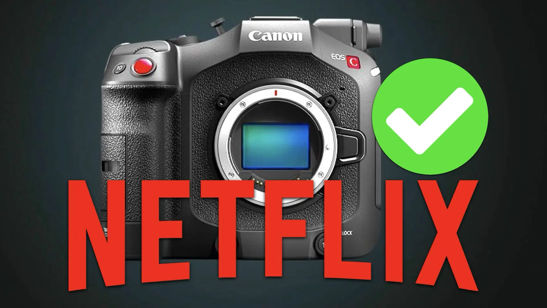 Canon EOS C80 Becomes Netflix Approved