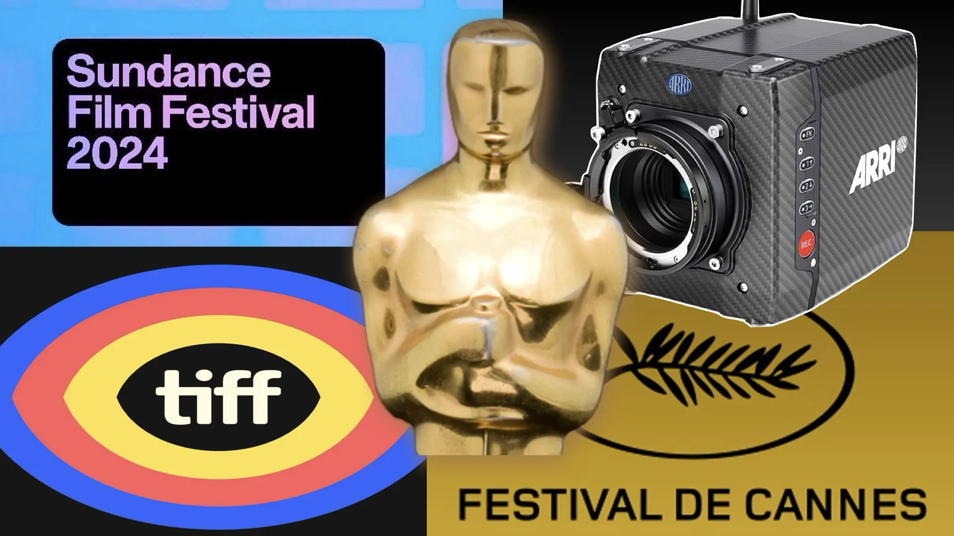 The Camera Strength Chart 2024: What the Industry’s Most Prestigious Festivals Tell Us About Filmmakers’ Gear of Choice