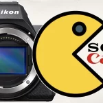 Nikon Z5II: The Affordable Workhorse That Helped Nikon Outsell Canon and Sony