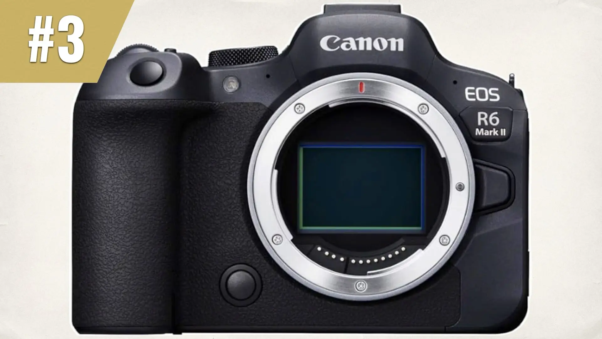 Canon EOS R6 Mark II 