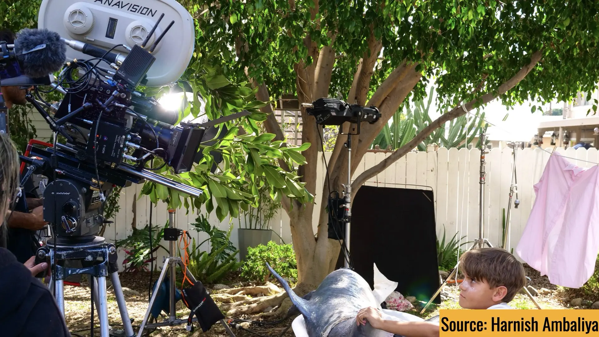 BTS of Dead Pet Shark. Source: Cinematographer Harnish Ambaliya