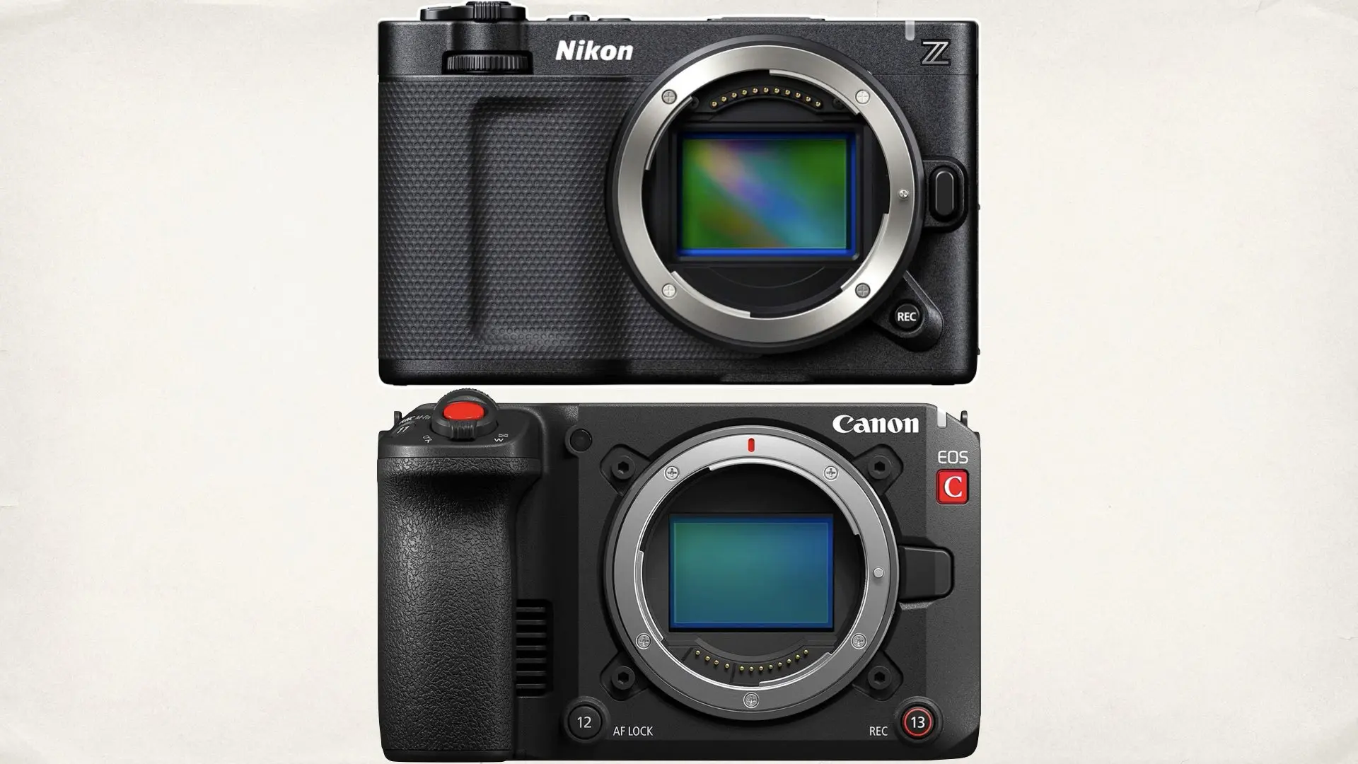 Canon C50 and Nikon ZR Arrive on Amazon