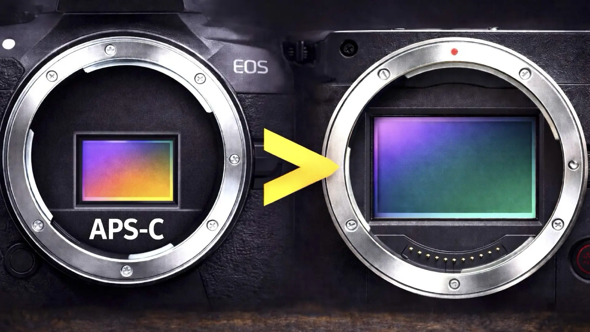 Creators Have Made a Clear Choice on Amazon, and It’s Not Full Frame