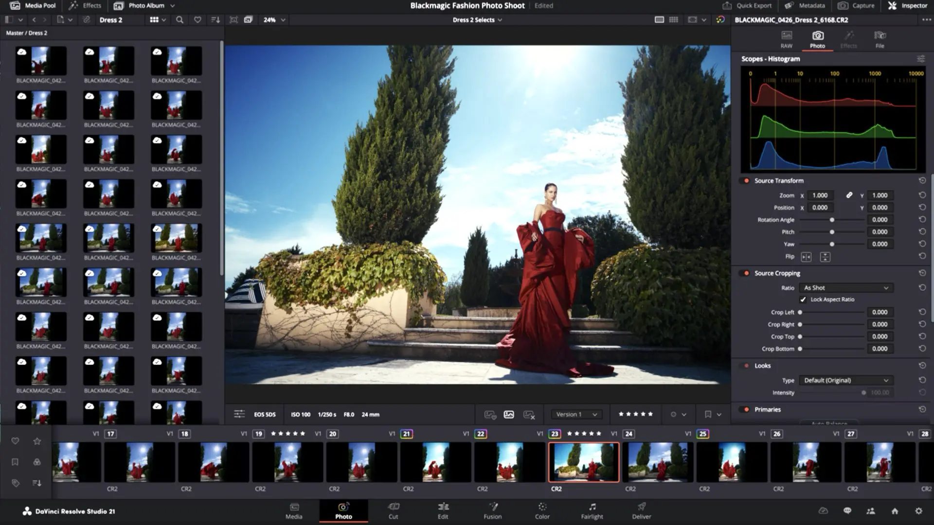 DaVinci Resolve 21: Photo Page