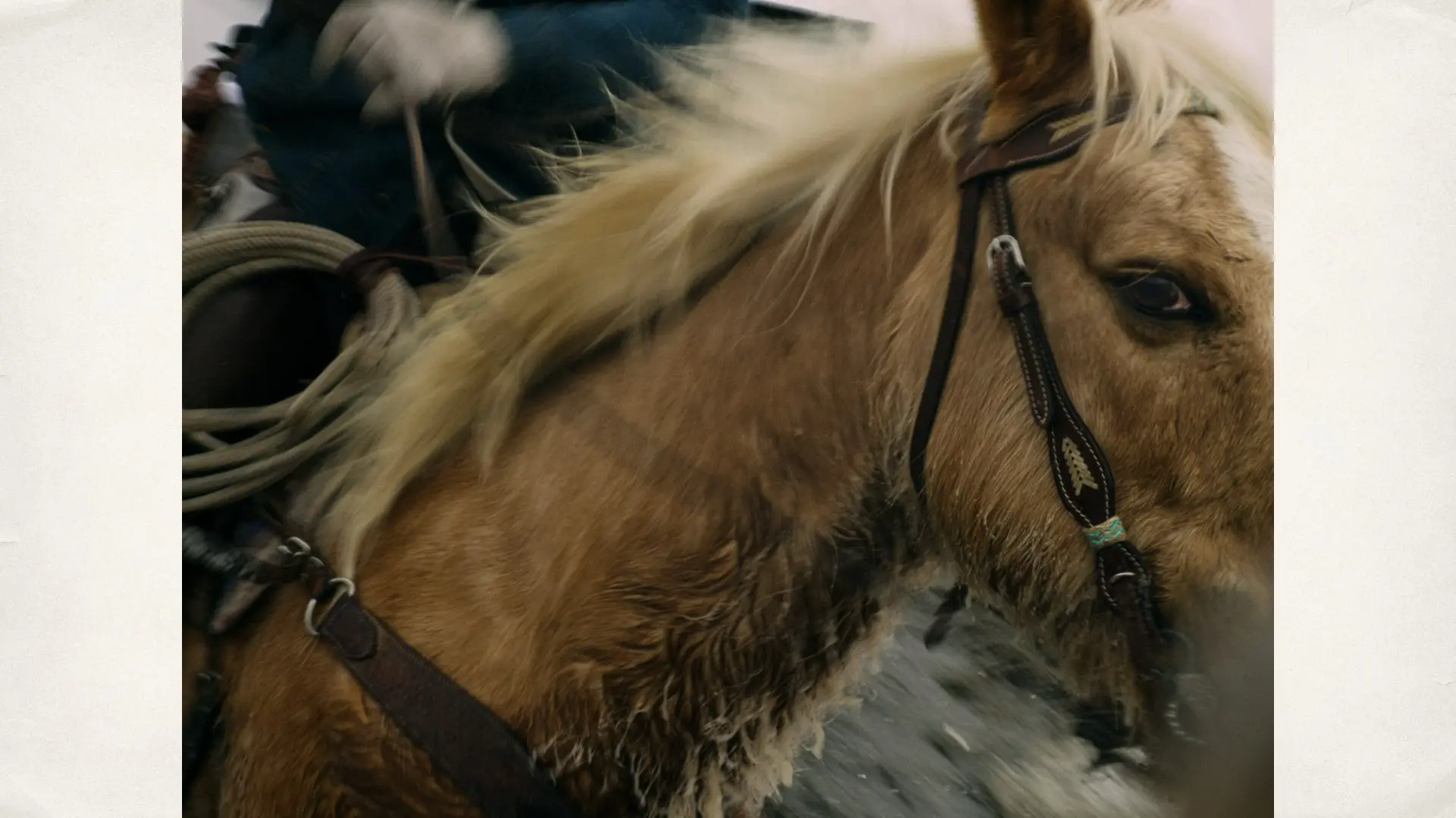 GoPro MISSION 1: Footage