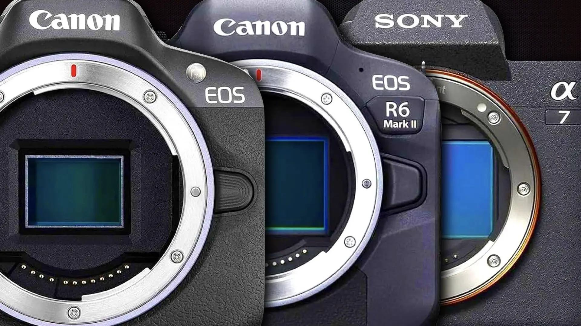 The Camera Industry Talks Flagships. Amazon Buyers Choose the Canon EOS R50