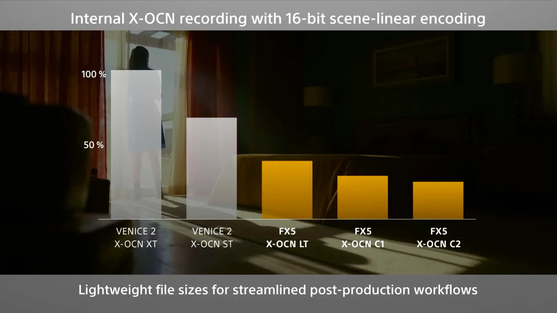 Sony FX5: Codecs