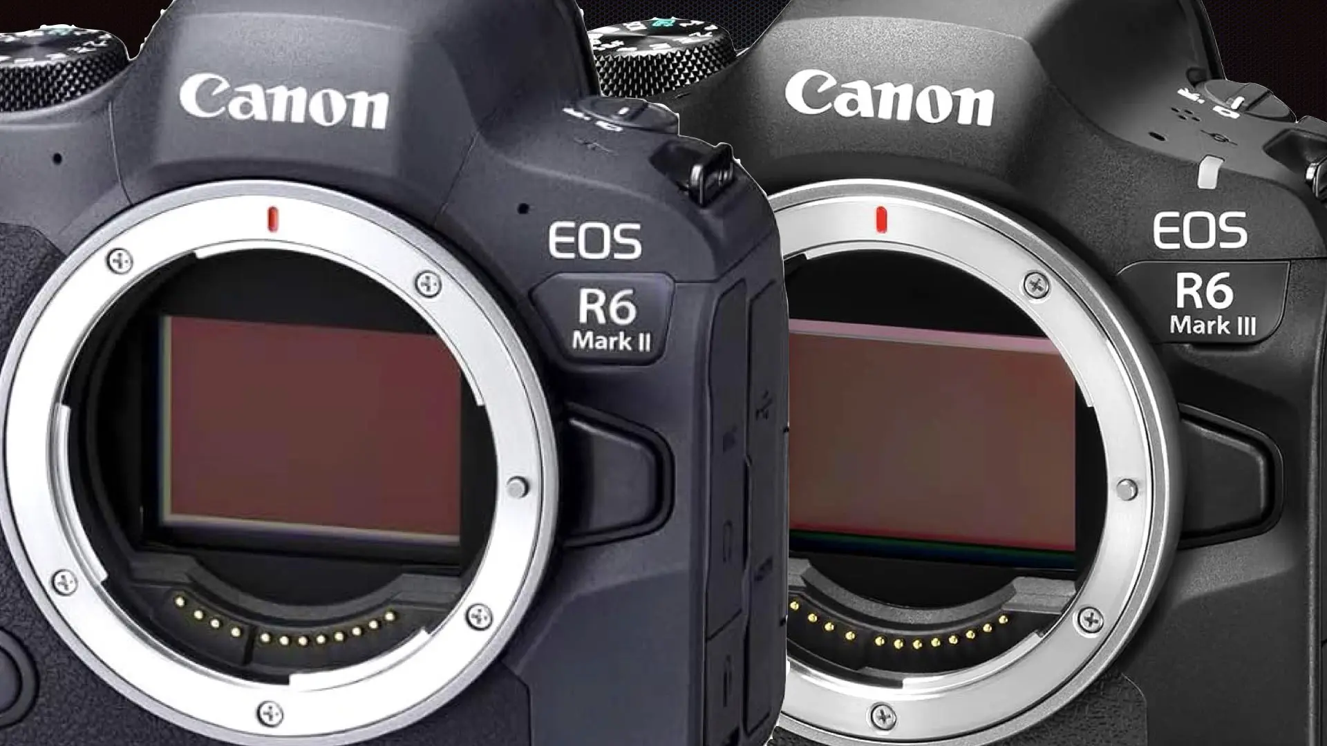 Canon EOS R6 Mark II vs. R6 Mark III: Is the new camera worth $800 more?