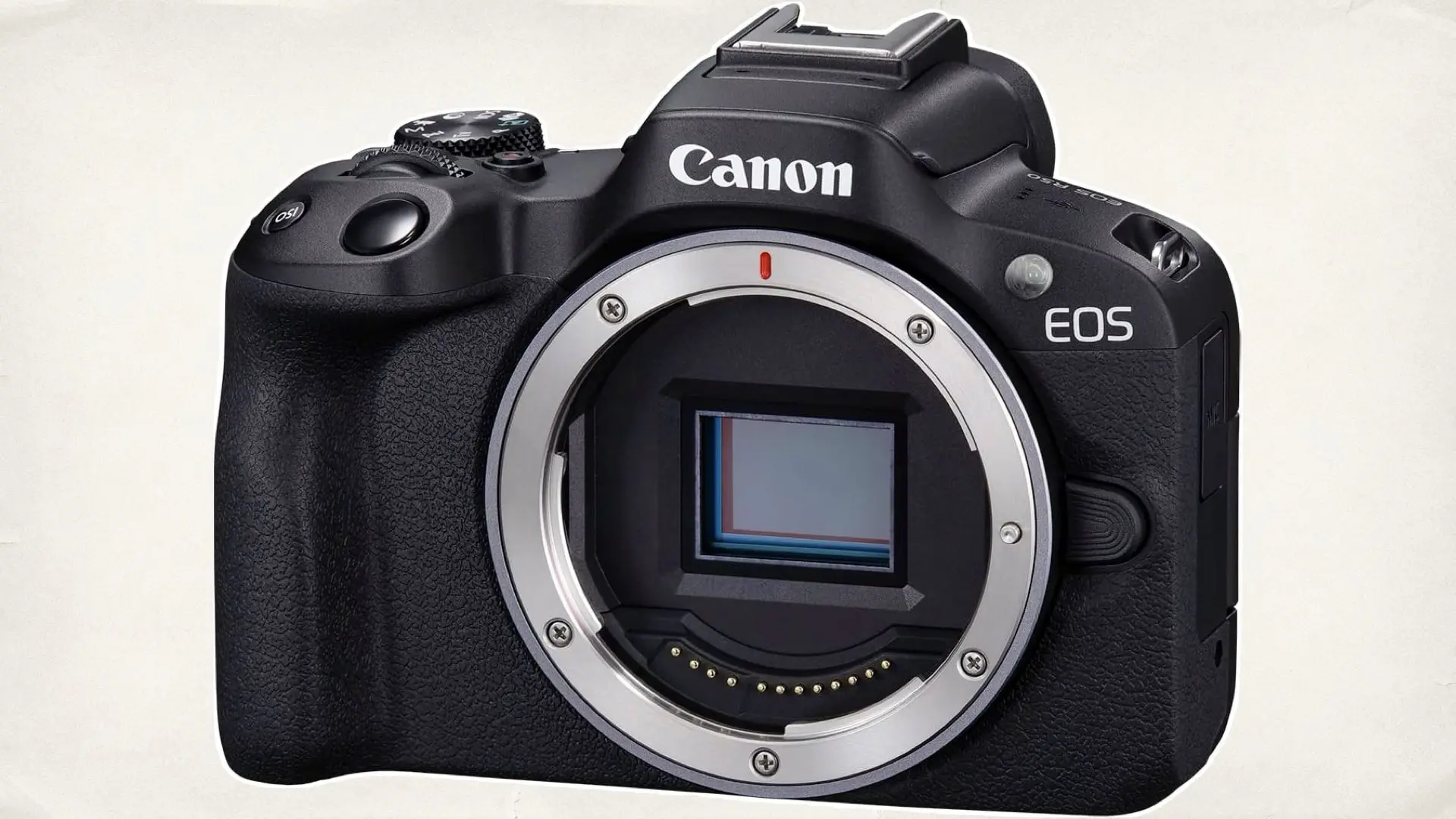 Canon EOS R50