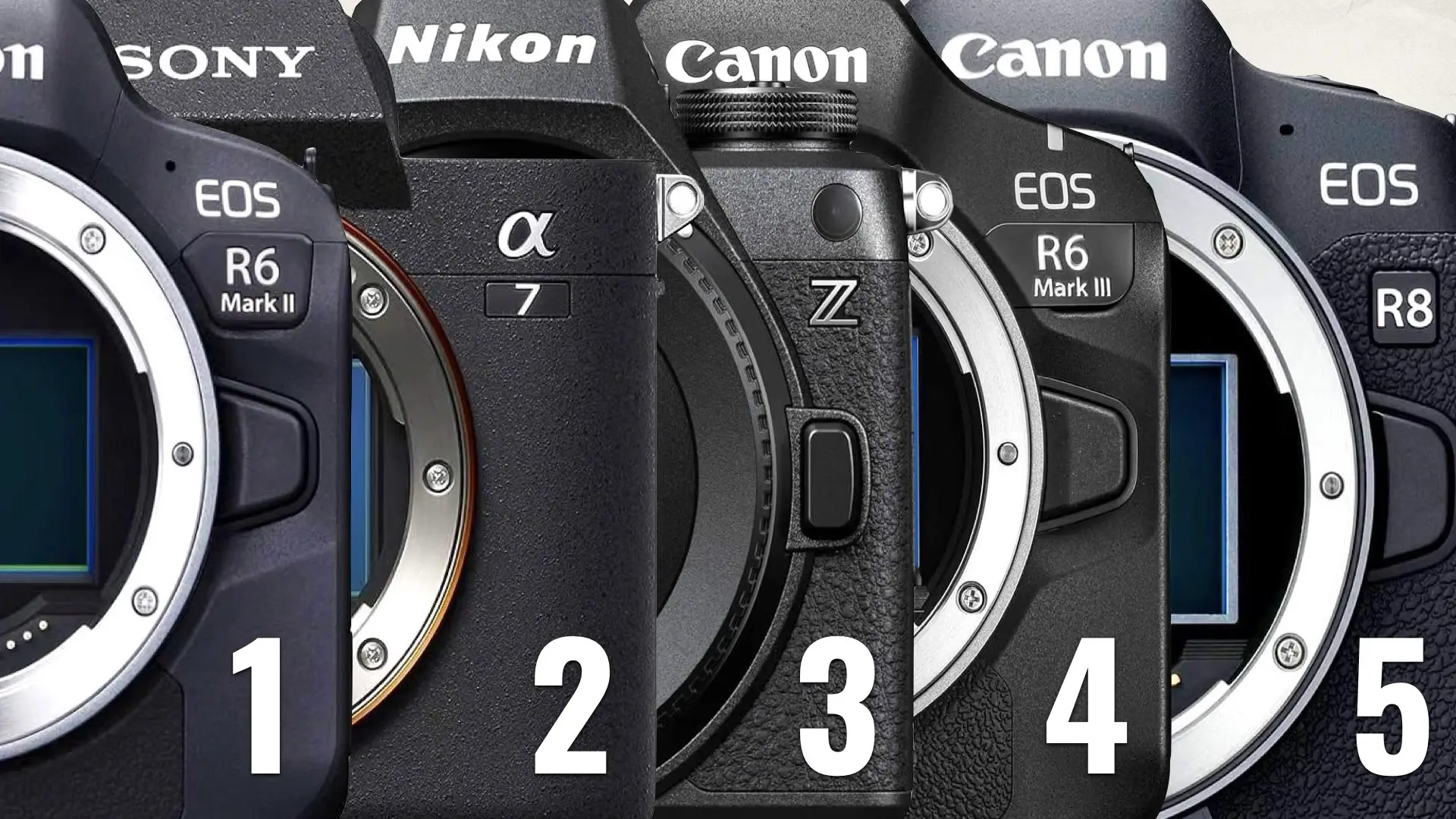 Amazon’s Top 5 Best-Selling Full-Frame Camera Bodies- Canon R6 Mark II, Sony a7 IV and Nikon Z6 III All Hit ~$2,000