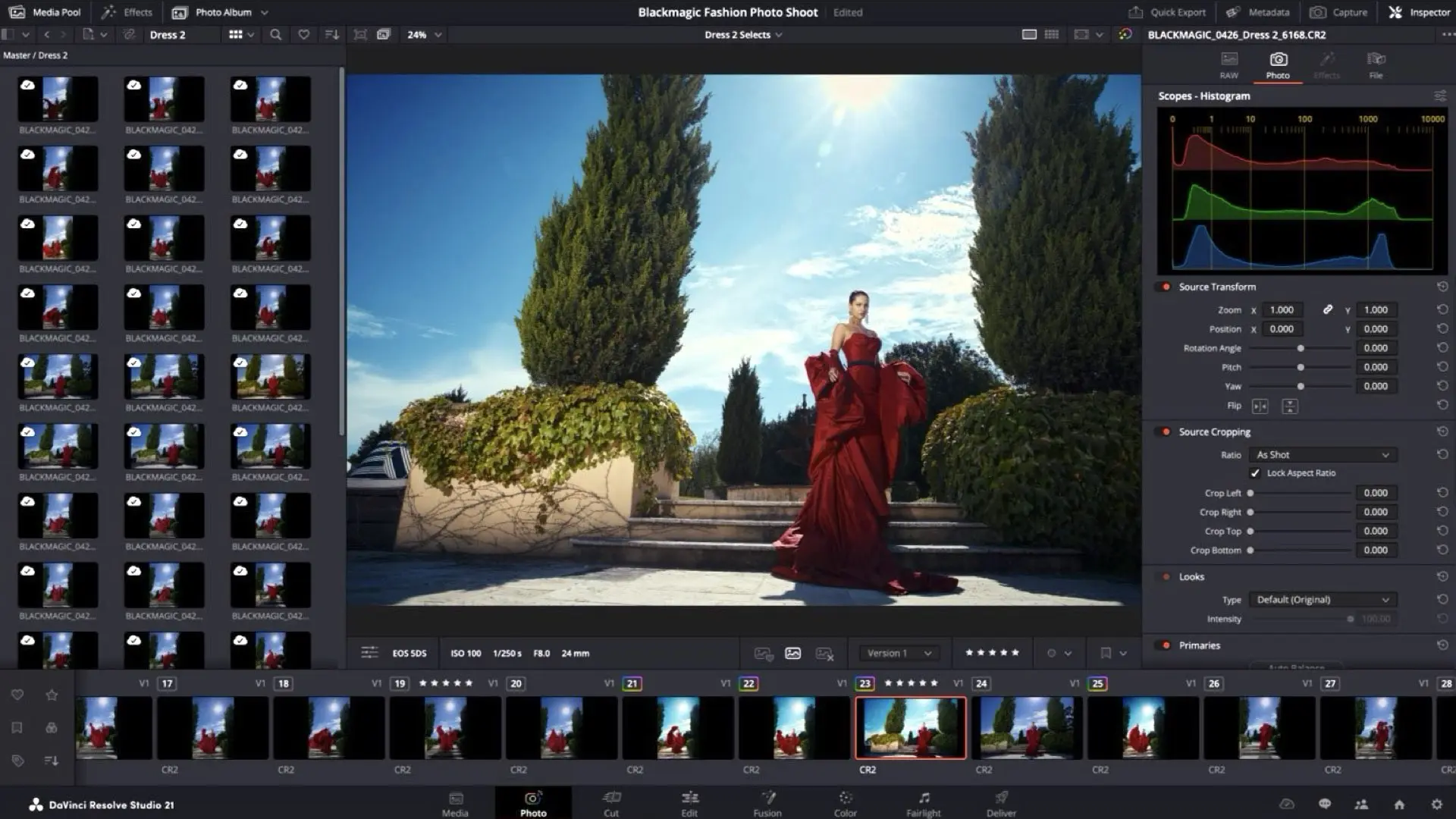 DaVinci Resolve 21.1