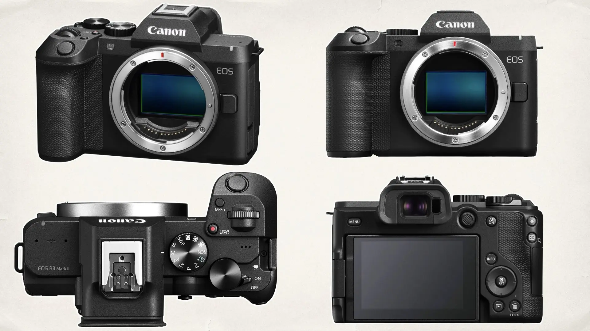 Canon EOS R8 Mark II Mirrorless Camera
