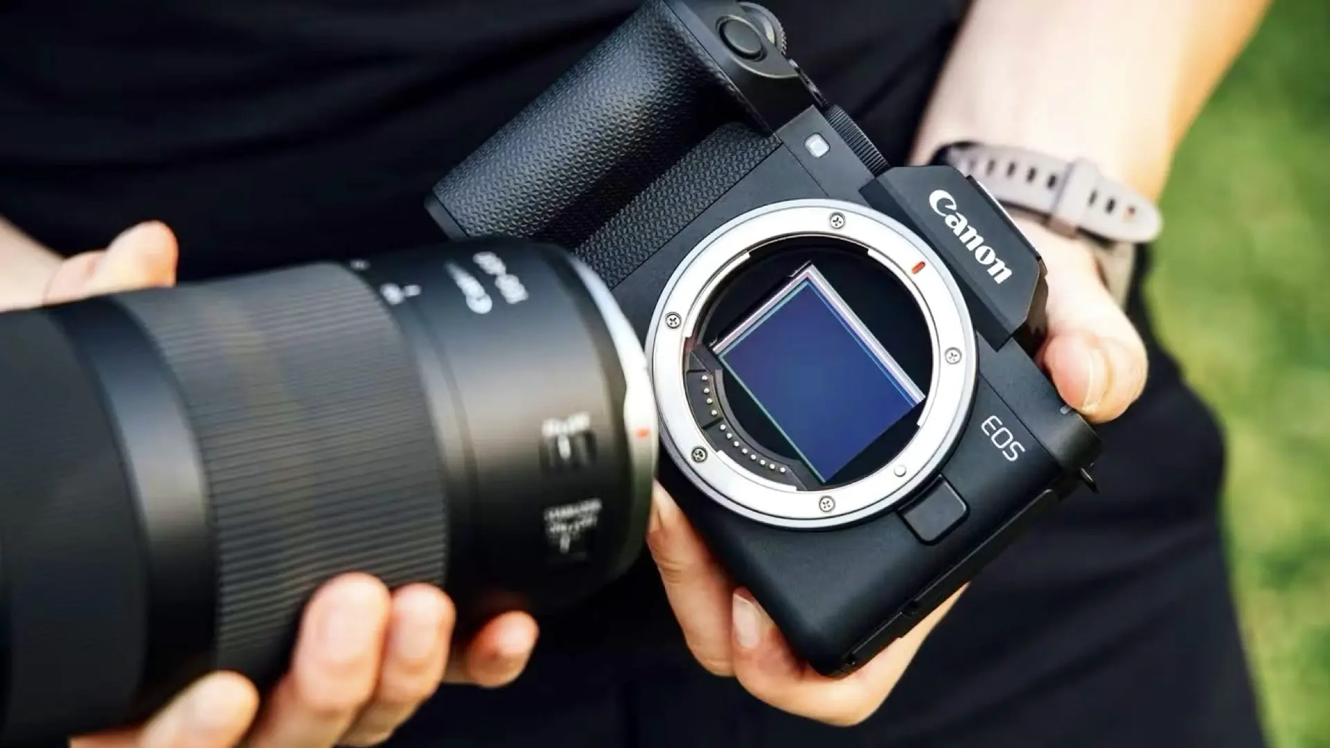 Canon EOS R8 Mark II